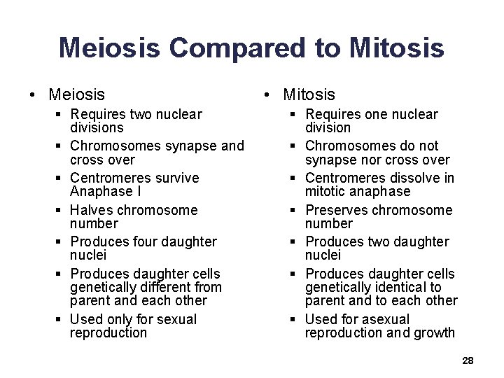 Meiosis Compared to Mitosis • Meiosis § Requires two nuclear divisions § Chromosomes synapse