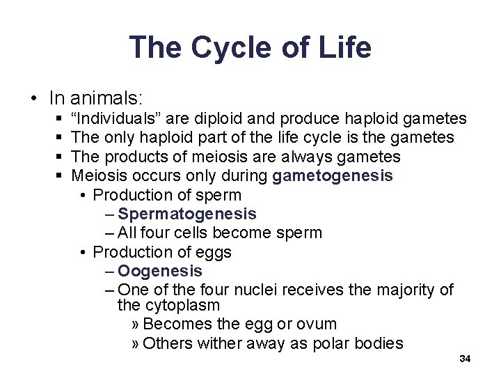 The Cycle of Life • In animals: § § “Individuals” are diploid and produce