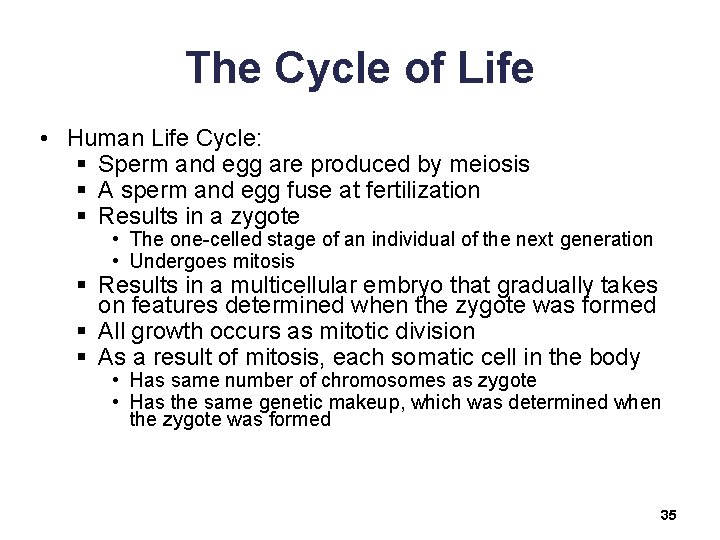 The Cycle of Life • Human Life Cycle: § Sperm and egg are produced