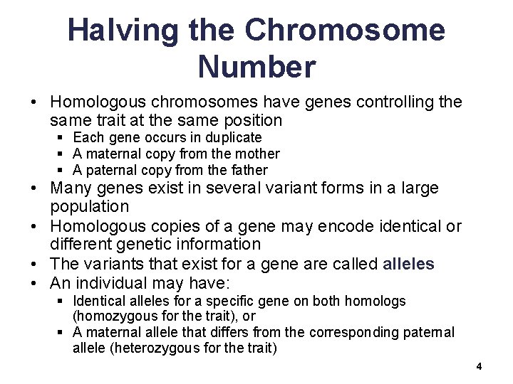 Halving the Chromosome Number • Homologous chromosomes have genes controlling the same trait at