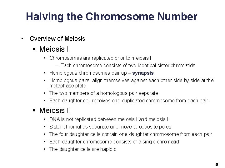 Halving the Chromosome Number • Overview of Meiosis § Meiosis I • Chromosomes are