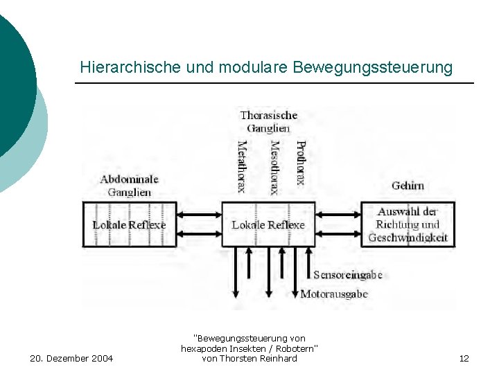 Hierarchische und modulare Bewegungssteuerung 20. Dezember 2004 "Bewegungssteuerung von hexapoden Insekten / Robotern" von