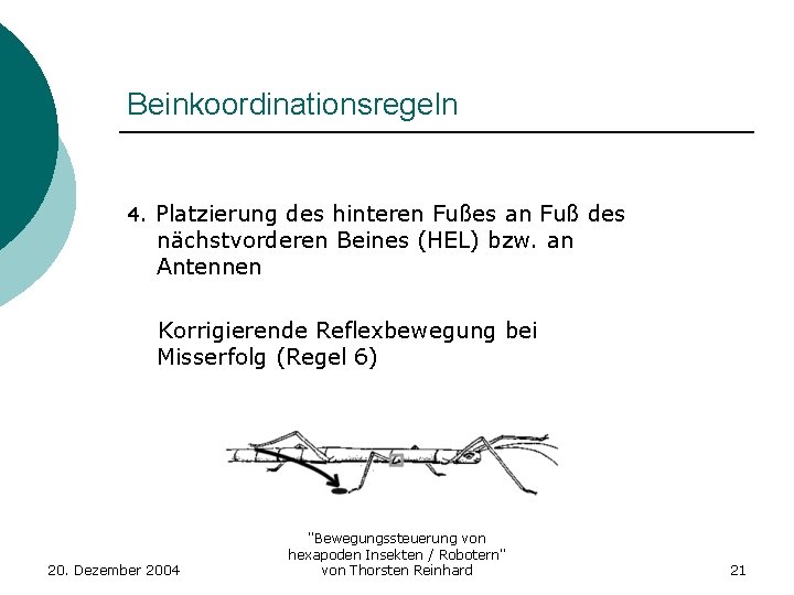 Beinkoordinationsregeln 4. Platzierung des hinteren Fußes an Fuß des nächstvorderen Beines (HEL) bzw. an