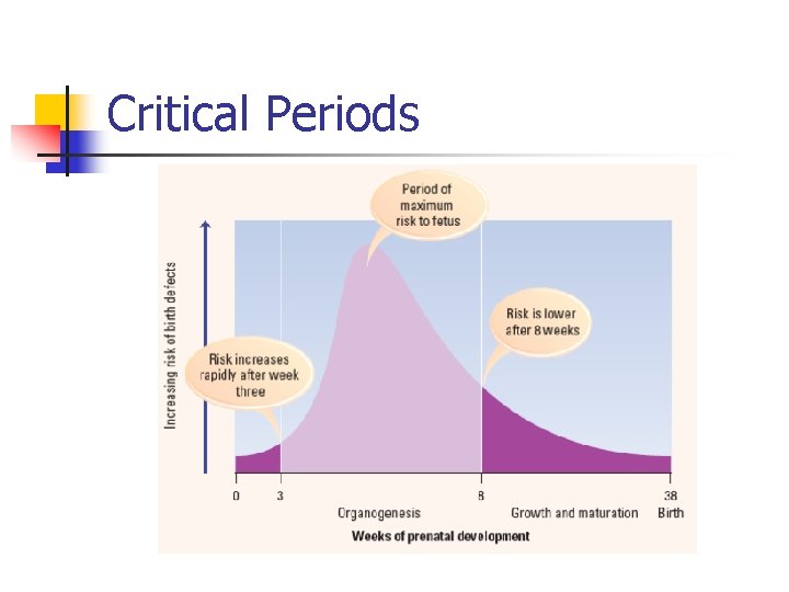 Critical Periods 