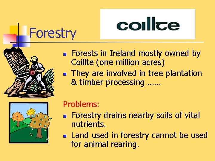 Forestry n n Forests in Ireland mostly owned by Coillte (one million acres) They