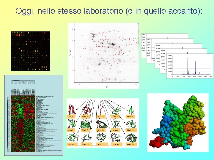  Oggi, nello stesso laboratorio (o in quello accanto): 