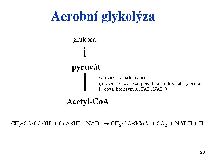Aerobní glykolýza glukosa pyruvát Oxidační dekarboxylace (multienzymový komplex: thiamindifosfát, kyselina lipoová, koenzym A, FAD,