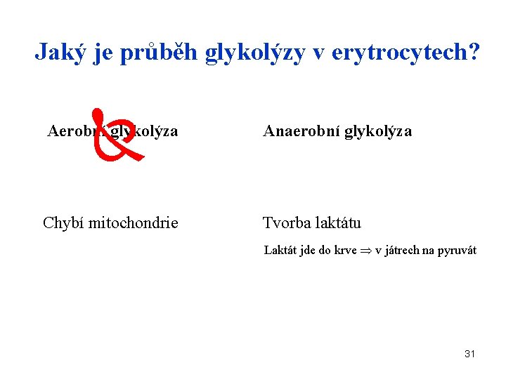 Jaký je průběh glykolýzy v erytrocytech? Aerobní glykolýza Anaerobní glykolýza Chybí mitochondrie Tvorba laktátu