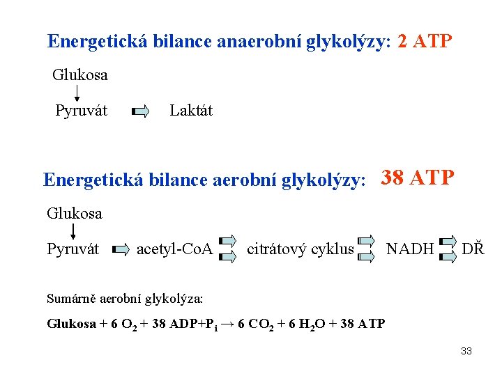 Energetická bilance anaerobní glykolýzy: 2 ATP Glukosa Pyruvát Laktát Energetická bilance aerobní glykolýzy: 38