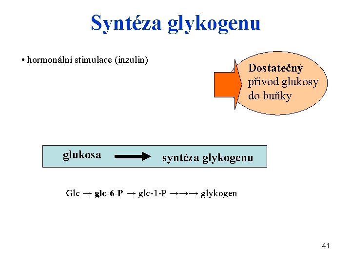 Syntéza glykogenu • hormonální stimulace (inzulin) glukosa Dostatečný přívod glukosy do buňky syntéza glykogenu