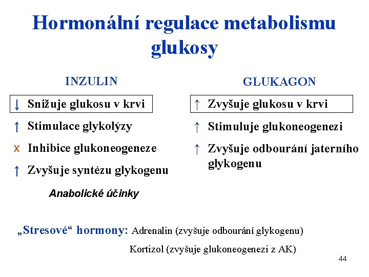 Hormonální regulace metabolismu glukosy INZULIN GLUKAGON ↓ Snižuje glukosu v krvi ↑ Zvyšuje glukosu