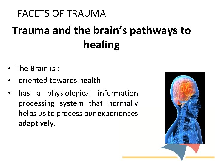 FACETS OF TRAUMA Trauma and the brain’s pathways to healing • The Brain is