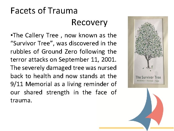 Facets of Trauma Recovery • The Callery Tree , now known as the “Survivor