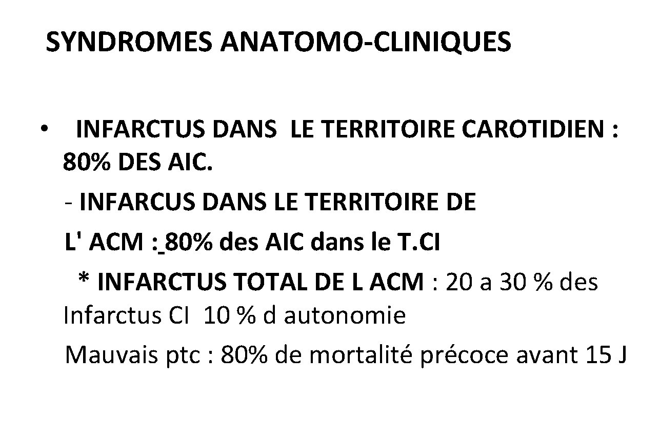 SYNDROMES ANATOMO-CLINIQUES • INFARCTUS DANS LE TERRITOIRE CAROTIDIEN : 80% DES AIC. - INFARCUS