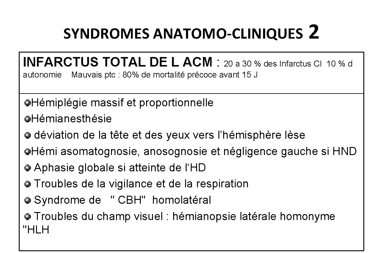 SYNDROMES ANATOMO-CLINIQUES 2 INFARCTUS TOTAL DE L ACM : 20 a 30 % des