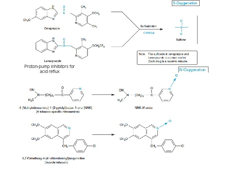 Proton-pump inhibitors for acid reflux 