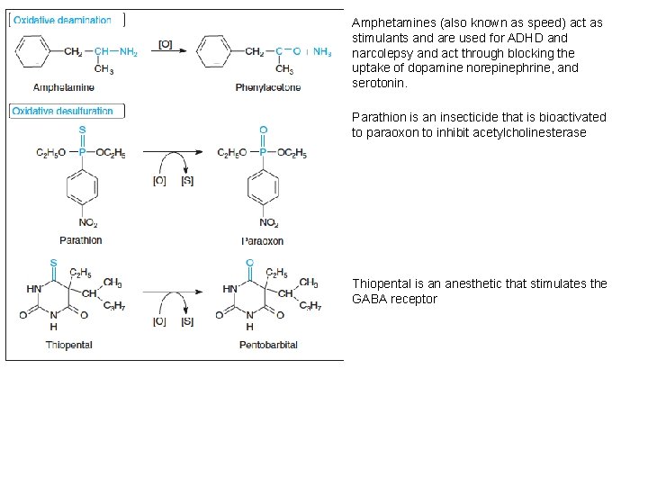 Amphetamines (also known as speed) act as stimulants and are used for ADHD and