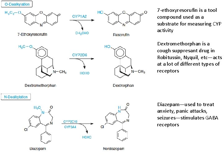 7 -ethoxyresorufin is a tool compound used as a substrate for measuring CYP activity