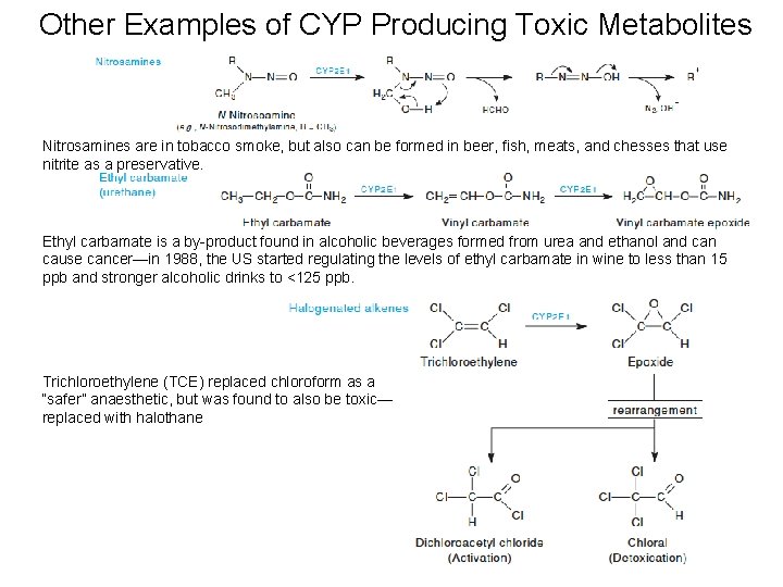 Other Examples of CYP Producing Toxic Metabolites Nitrosamines are in tobacco smoke, but also