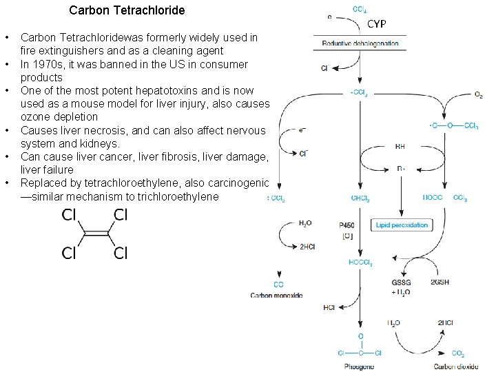 Carbon Tetrachloride • • • Carbon Tetrachloridewas formerly widely used in fire extinguishers and