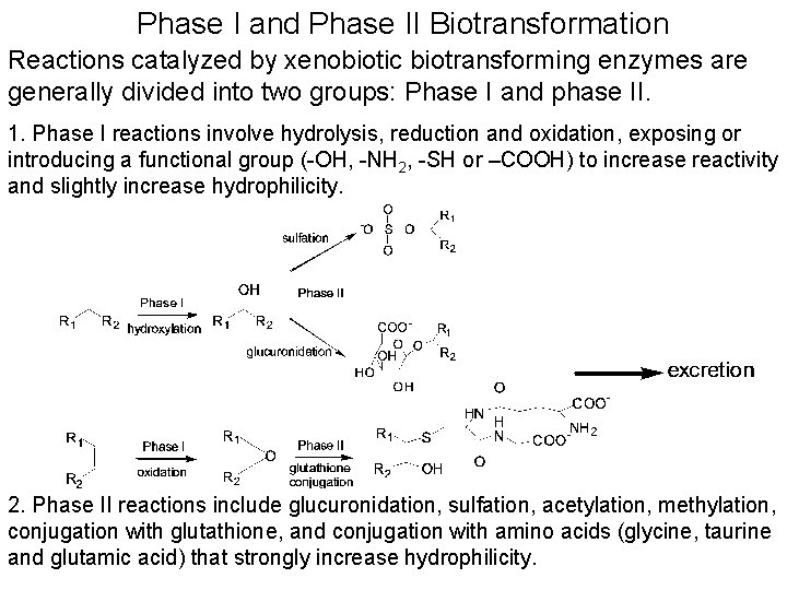 Phase I and Phase II Biotransformation Reactions catalyzed by xenobiotic biotransforming enzymes are generally