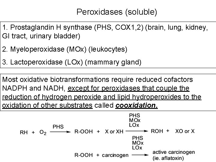 Peroxidases (soluble) 1. Prostaglandin H synthase (PHS, COX 1, 2) (brain, lung, kidney, GI