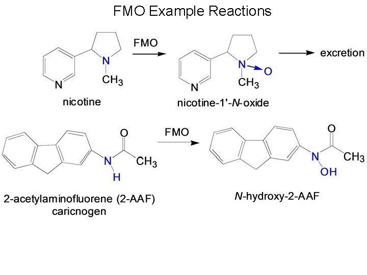 FMO Example Reactions 