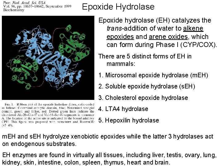 Epoxide Hydrolase Epoxide hydrolase (EH) catalyzes the trans-addition of water to alkene epoxides and