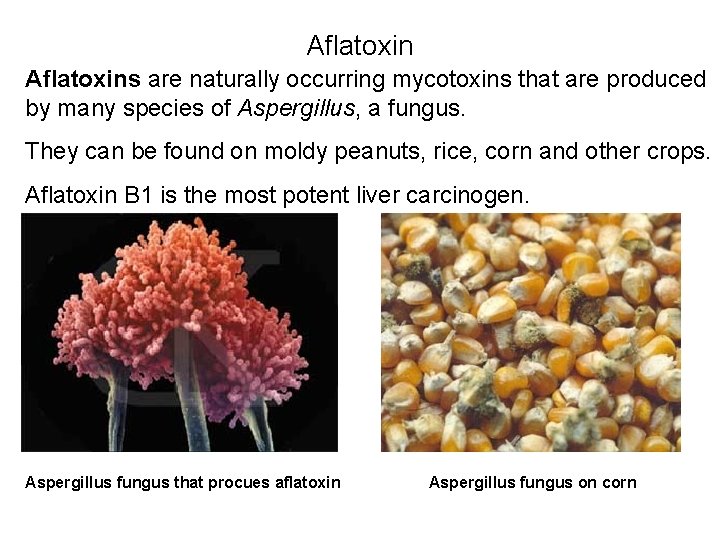 Aflatoxins are naturally occurring mycotoxins that are produced by many species of Aspergillus, a