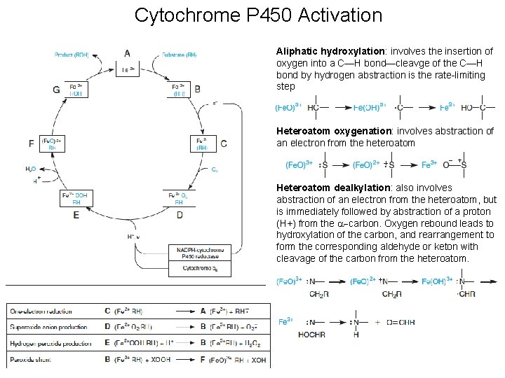 Cytochrome P 450 Activation Aliphatic hydroxylation: involves the insertion of oxygen into a C—H