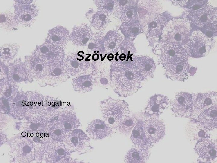 Szövetek - Szövet fogalma - Citológia 