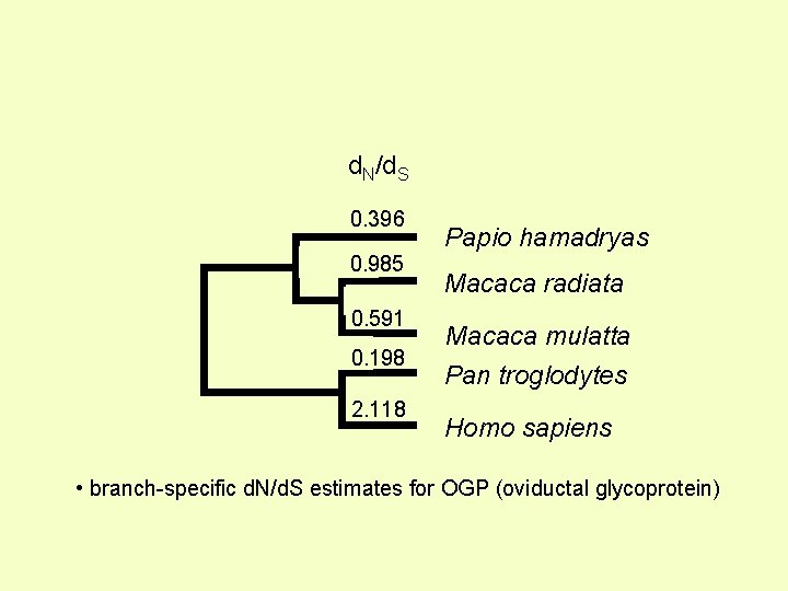 d. N/d. S 0. 396 0. 985 0. 591 0. 198 2. 118 Papio