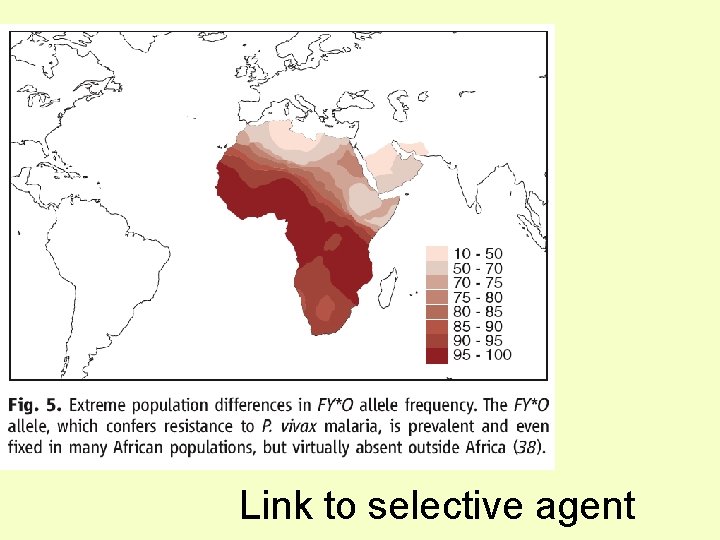 Link to selective agent 