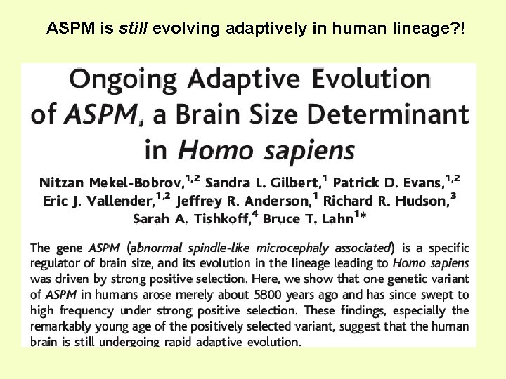 ASPM is still evolving adaptively in human lineage? ! 