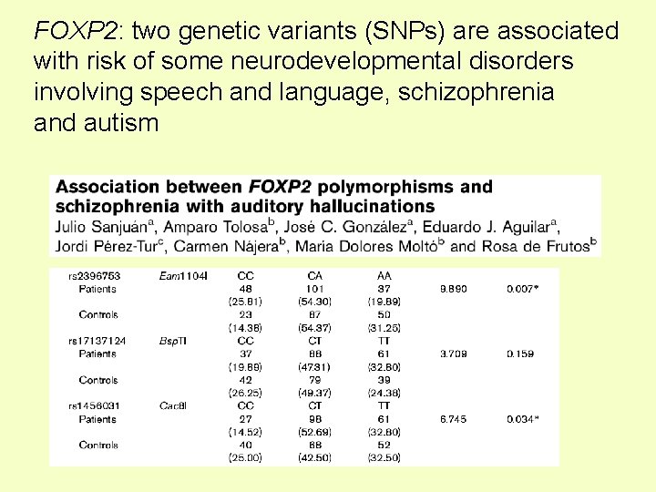 FOXP 2: two genetic variants (SNPs) are associated with risk of some neurodevelopmental disorders