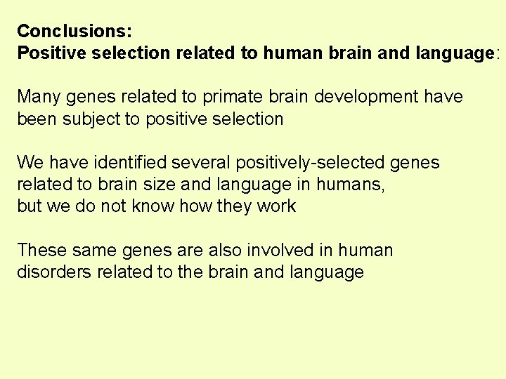 Conclusions: Positive selection related to human brain and language: Many genes related to primate
