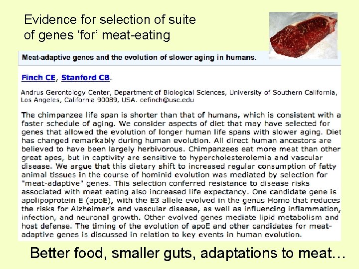 Evidence for selection of suite of genes ‘for’ meat-eating Better food, smaller guts, adaptations
