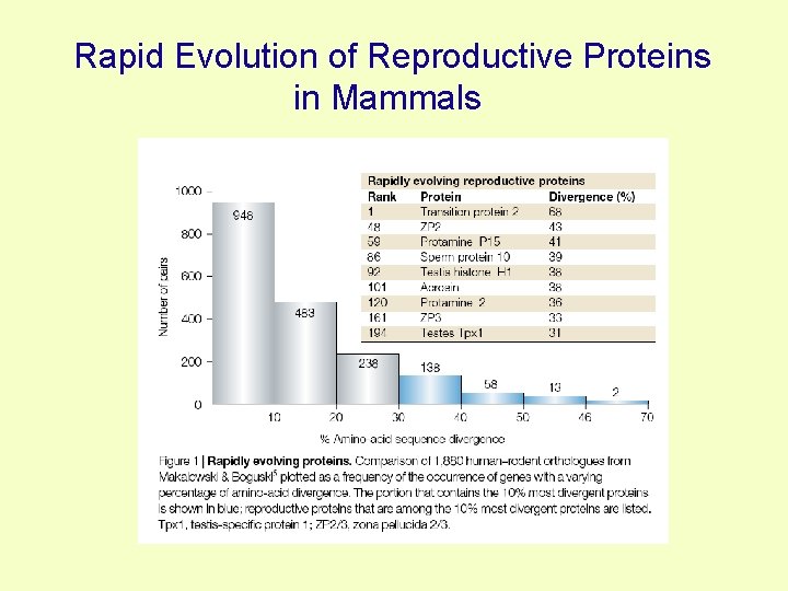 Rapid Evolution of Reproductive Proteins in Mammals 