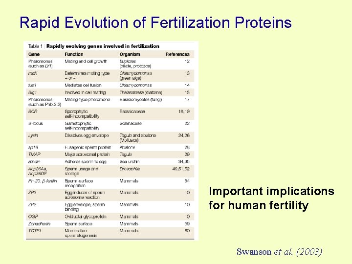 Rapid Evolution of Fertilization Proteins Important implications for human fertility Swanson et al. (2003)