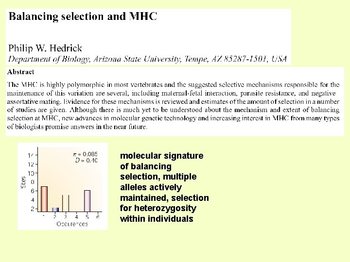 molecular signature of balancing selection, multiple alleles actively maintained, selection for heterozygosity within individuals