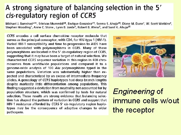 Engineering of immune cells w/out the receptor 