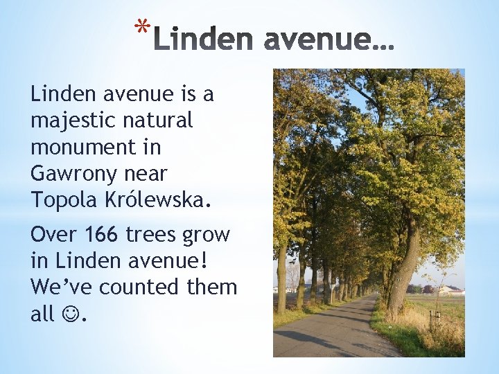 * Linden avenue is a majestic natural monument in Gawrony near Topola Królewska. Over