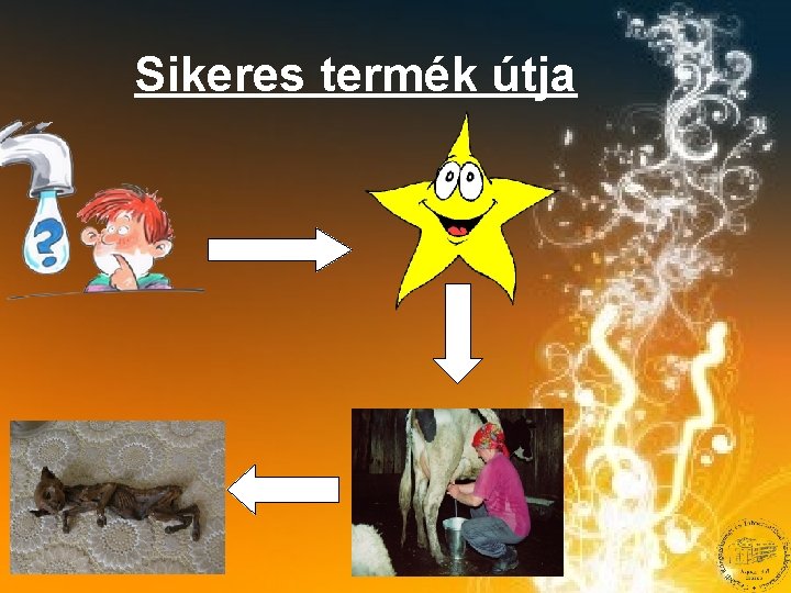 Sikeres termék útja 