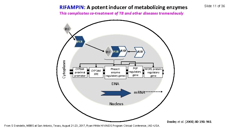 RIFAMPIN: A potent inducer of metabolizing enzymes Slide 11 of 36 This complicates co-treatment