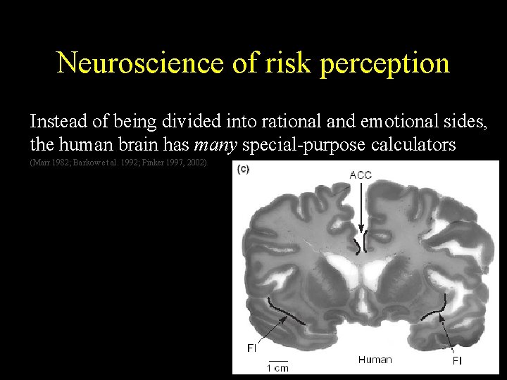 Neuroscience of risk perception Instead of being divided into rational and emotional sides, the