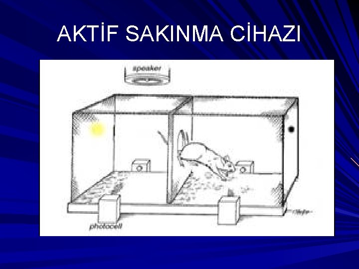 AKTİF SAKINMA CİHAZI 