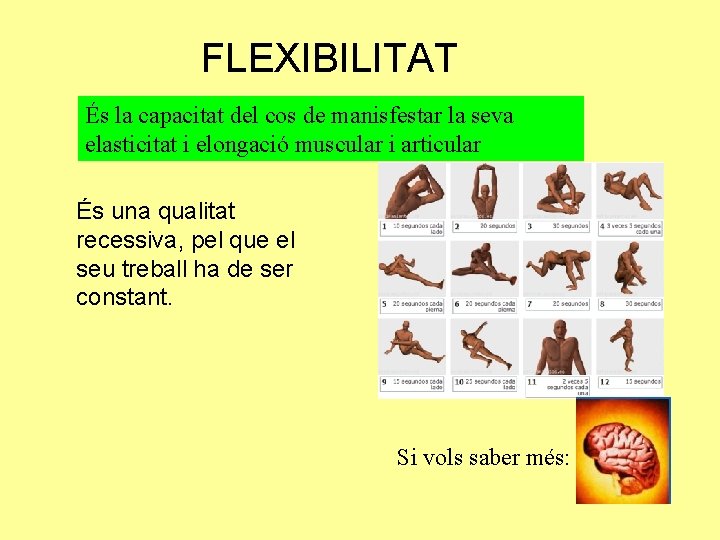FLEXIBILITAT És la capacitat del cos de manisfestar la seva elasticitat i elongació muscular