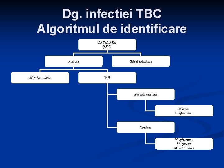 Dg. infectiei TBC Algoritmul de identificare CATALAZA (68°C) Niacina M. tuberculosis Nitrat reductaza T