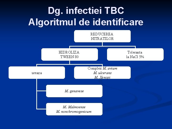 Dg. infectiei TBC Algoritmul de identificare REDUCEREA NITRATILOR HIDROLIZA TWEEN 80 Toleranta la Na.
