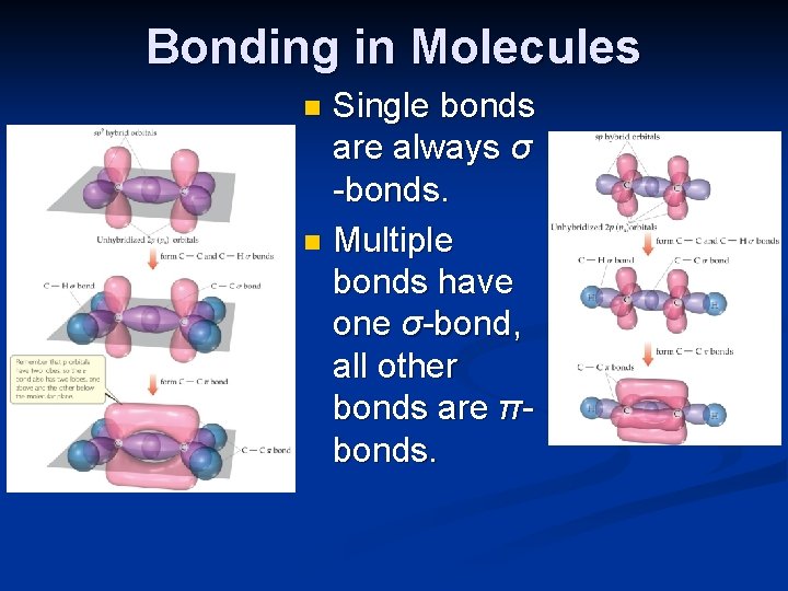 Bonding in Molecules Single bonds are always σ -bonds. n Multiple bonds have one